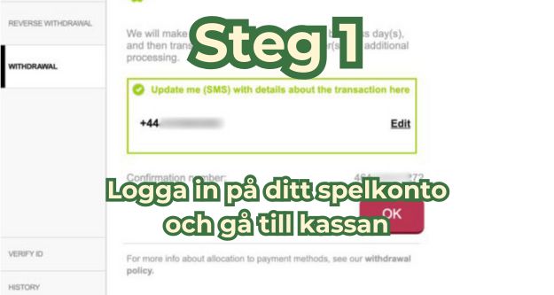 steg 1 logga in på ditt spelkonto och gå till kassan