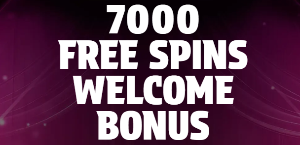 DiceWise Casino Bonus